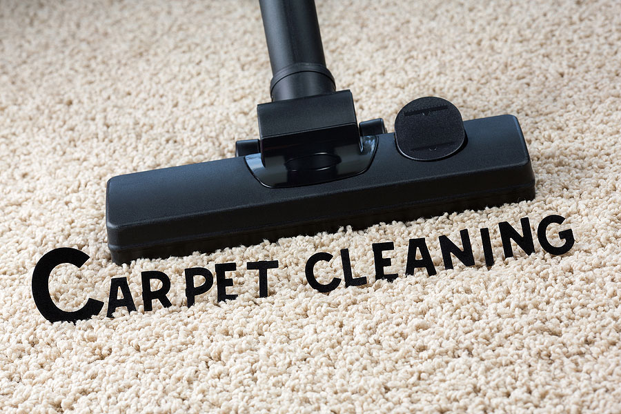 carpet cleaning